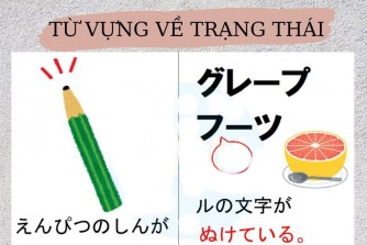 Từ vựng về trạng thái